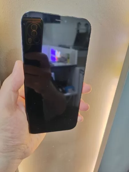 Apple iPhone 12 Pro Max 256 GB Mavi Görseli - 2