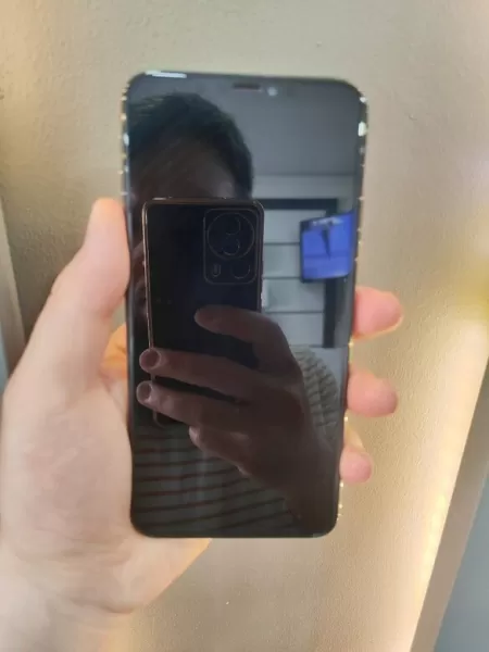 Apple iPhone XS Max 256GB Gri - Pil %100 (İkinci El) Görseli - 2